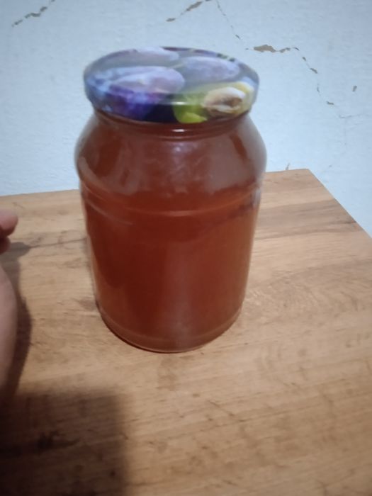 Toʻgʻ asali narxi kelishiladi optim olganlarga