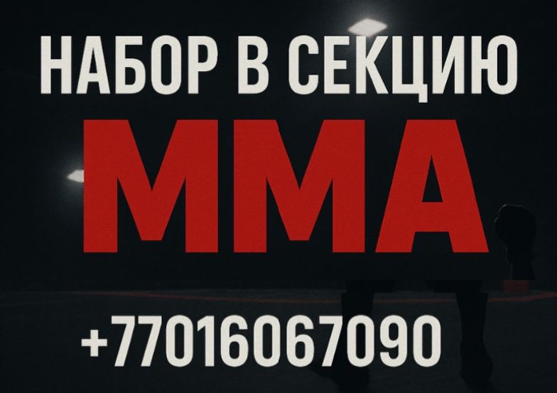 ММА для взрослых
