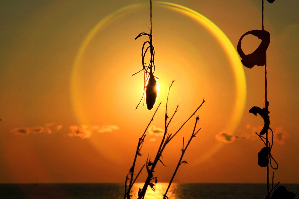 Говорим английски