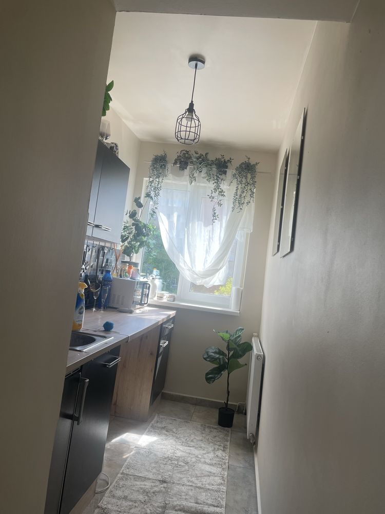 Apartament 2 camere Calea Sagului Timisoara