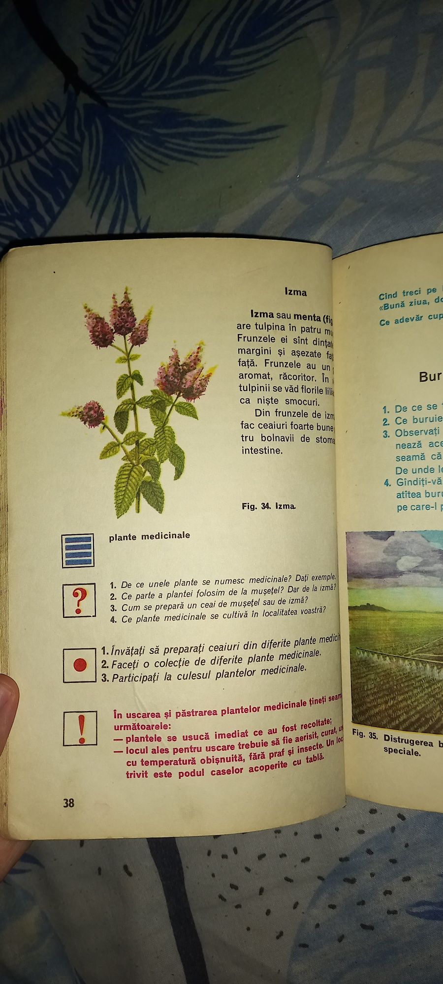 ofer gratis manual clasa a 3 a cunoștințe despre natura