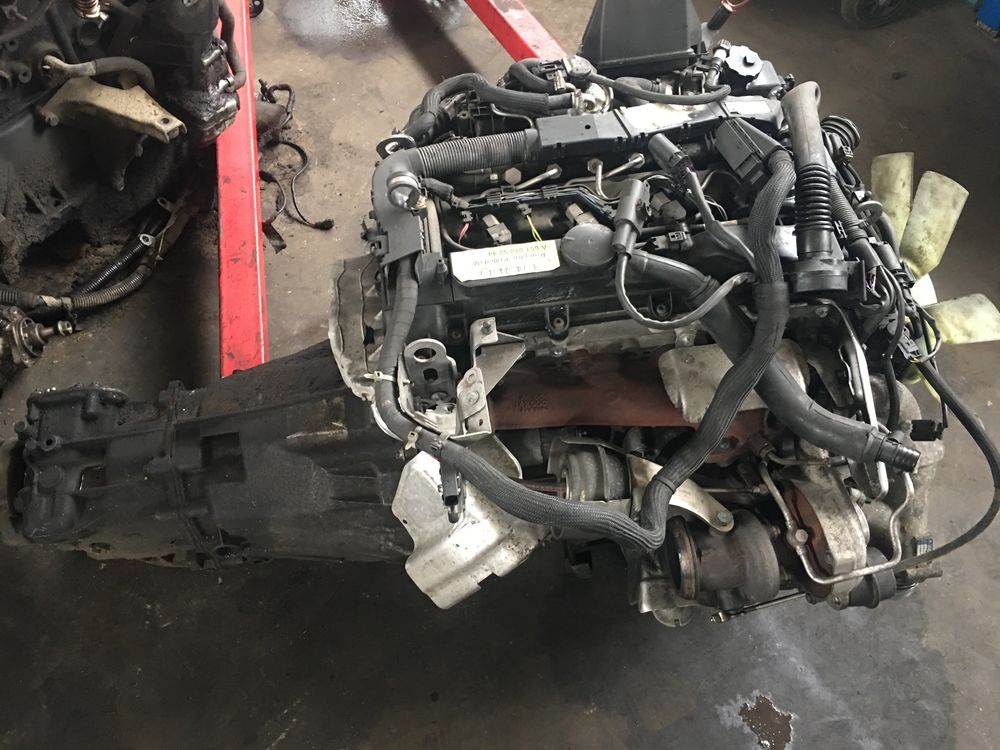 Motor Mercedes 651/646 Sprinter C/E/ML