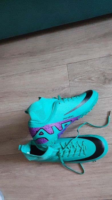 Сороконожки синие