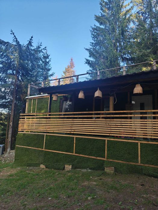 Tiny House by the forest