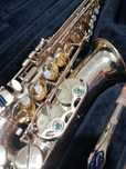 Vand selmer serie 2