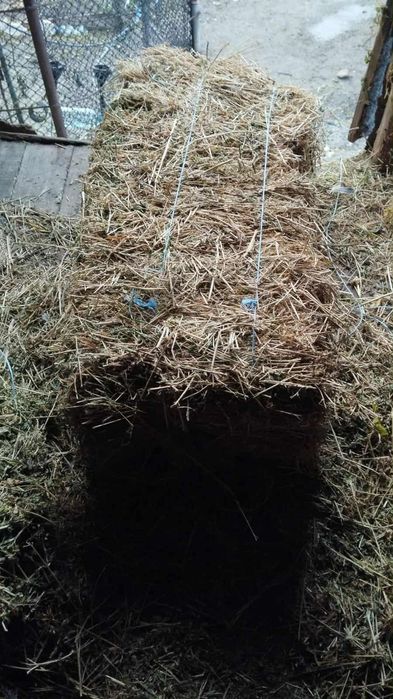 Vând baloți lucerna