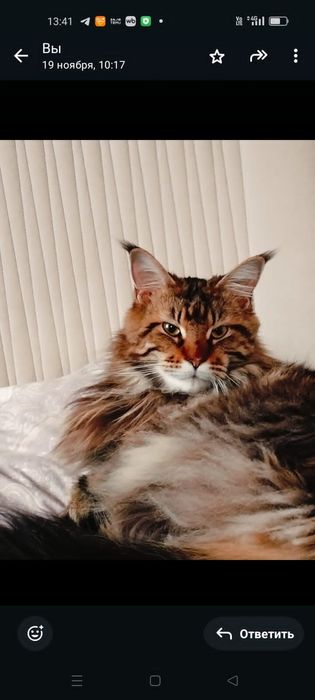 Отдам в добрые руки