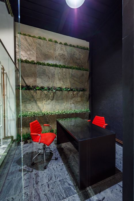 Jardiniere / Ghivece Flori | Decor Phenomena! Ocazie unica! Doar: 150€