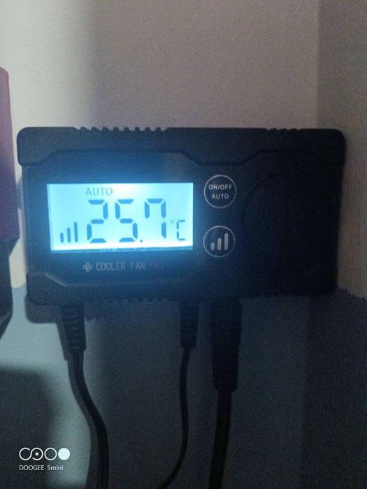 Червеи помпа филтър вентилатор охладител  фигурка буда аквариум аксесо