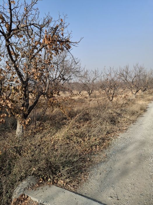 Урик утин сотилади