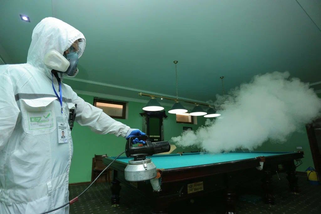 Профессионально и экологично устраняем любые вирусы в доме или офисе