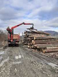 Firma de exploatare vinde lemn de foc fag buștean