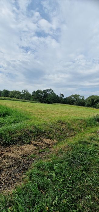 Terenuri intravilane alăturate 30 ari si 26 ari ideal casă sau arabil