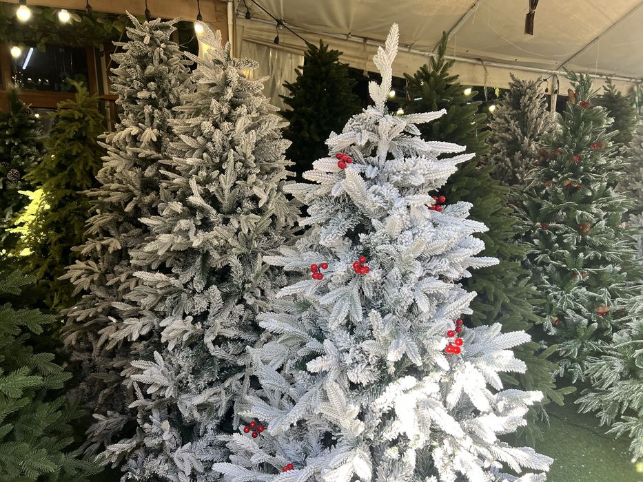 Большой выбор ногодних елок