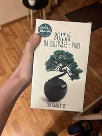 Kit Bonsai sigilat