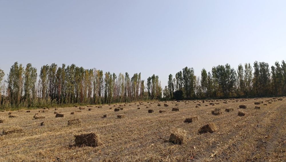 Пресс арзон 800та