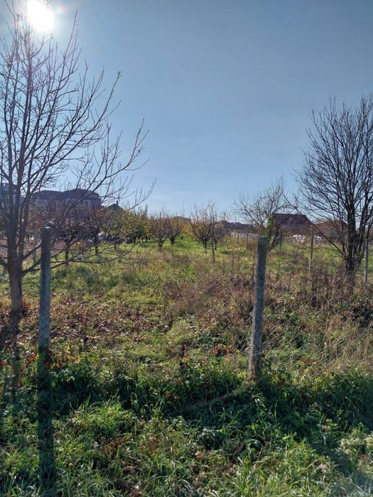 Vand teren intravilan - cartier micro 16