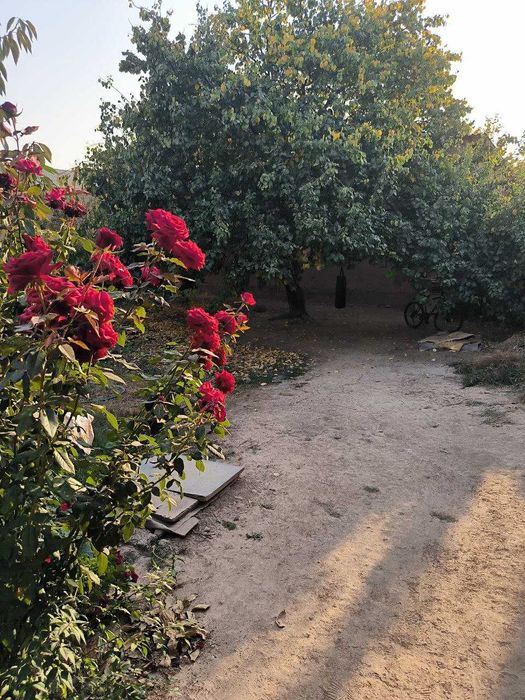 Продается участок 2,36 сотки (236 м2) на Бурата, Кибрай. 1 линия.