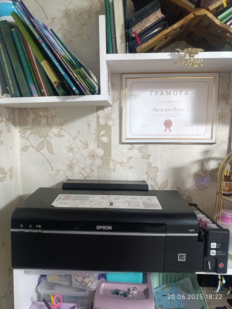 Принтер л 800. Эпсон L800