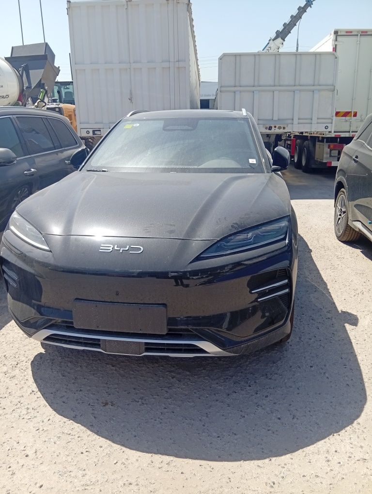 Byd chempion smart drive 605 km