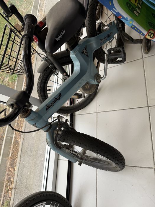 Отдам даром велик