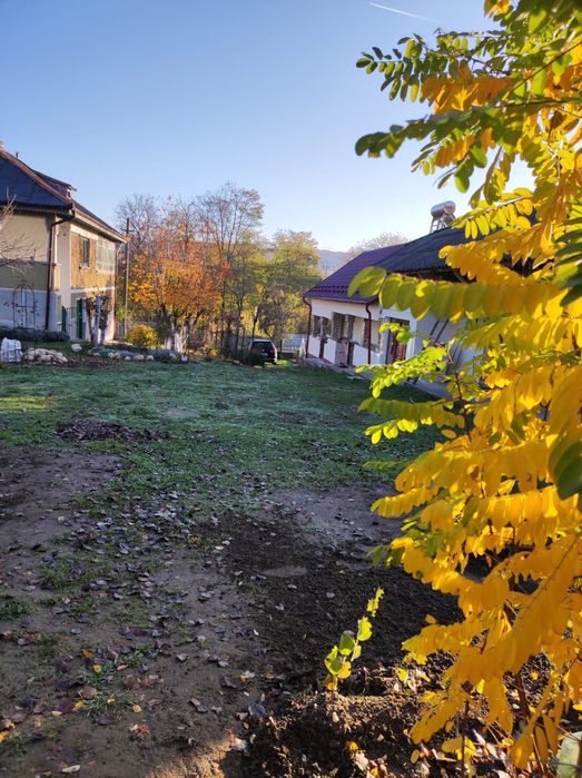 Două case cu mult teren