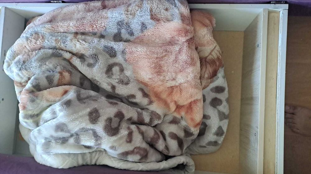 Диван отдам даром