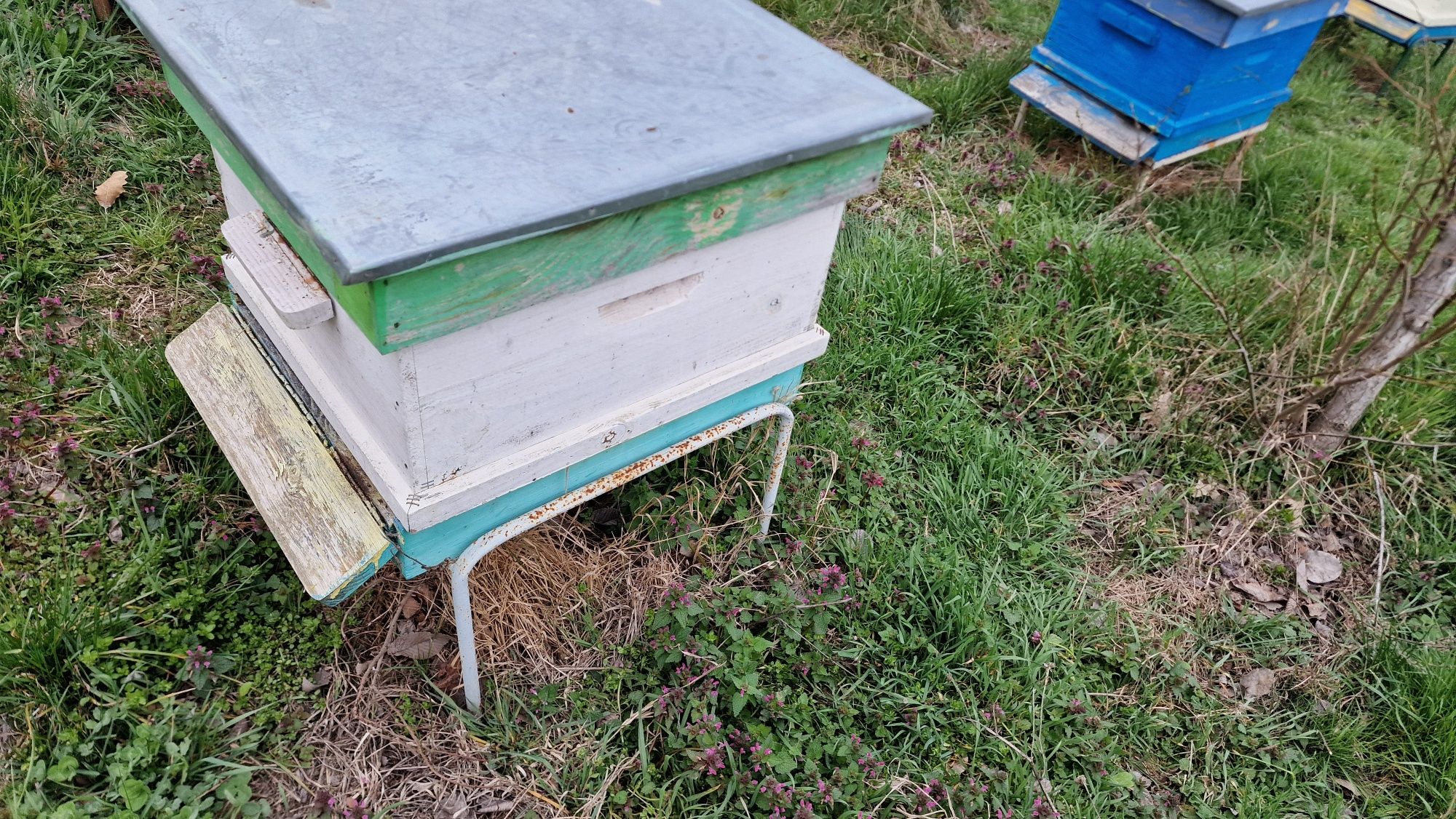 Продавам пчелни кошери – много корпусни, 40 бр