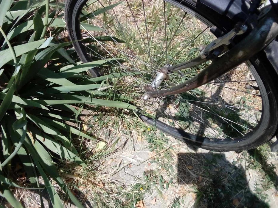 Колело Spinova - много леко и здраво