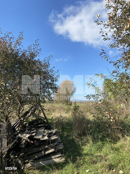 Teren 42 de ari | Andronic Motrescu