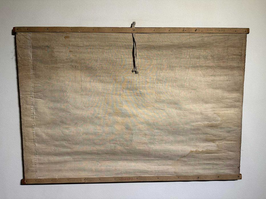 Соц Учебни Плакати Постери Ботаника