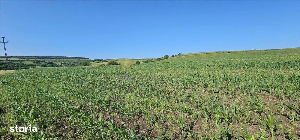 Teren Intravilan 5800 Mp Suceagu