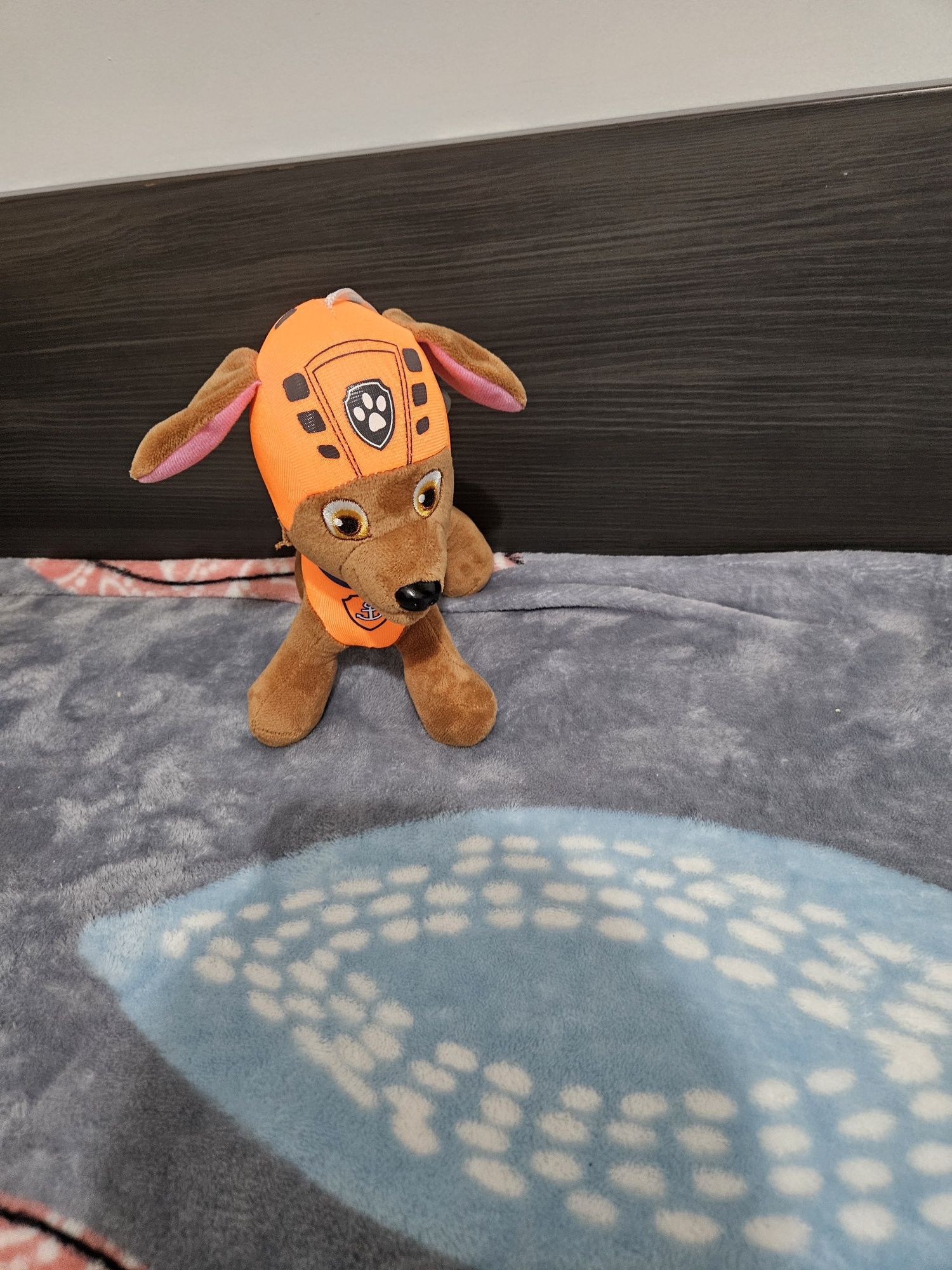 Patrula Catelusilor/Paw Patrol