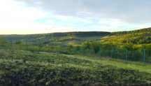 Teren de vanzare Intravilan, Bardesti