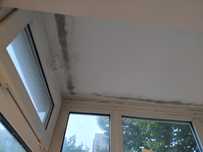 Handy man- la toate reparatiile interioare-painter
