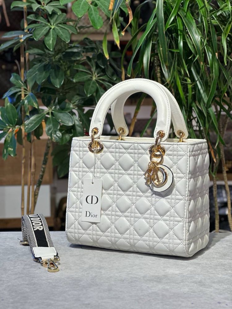 Geanta Dior Noua !!! Dimensiuni 25/20 !!!