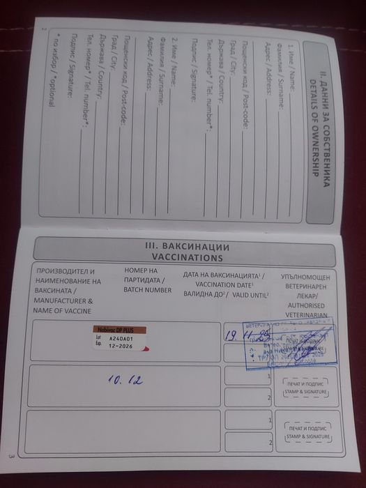 Кане Корсо Хубаво