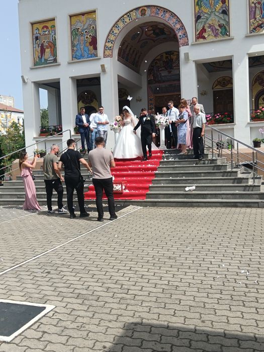 Porumbei evenimente Timișoara