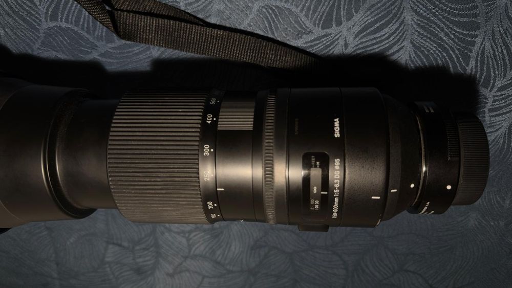 Sigma 150-600mm f/5-6.3 DG + Teleconvertor 1.4x