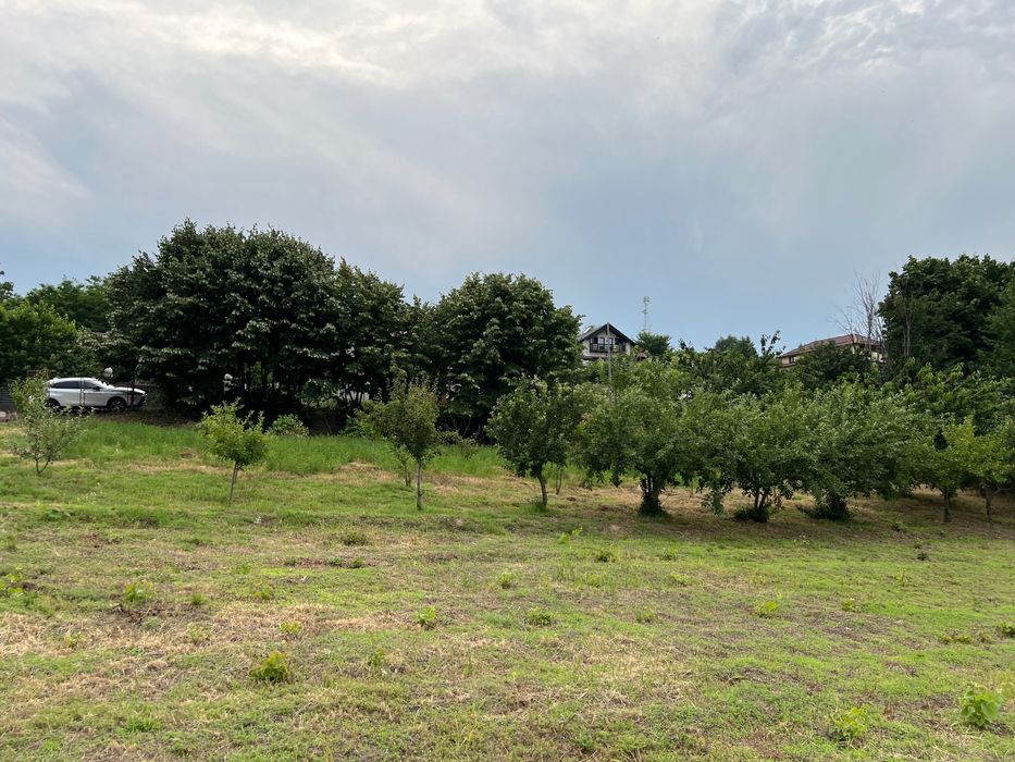 Teren de vinzare intravilan