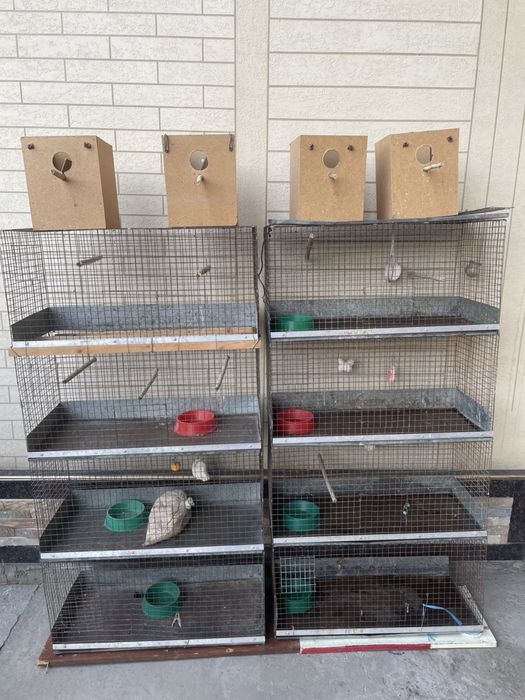 Qush Qafasi 4etaj 2ta bor