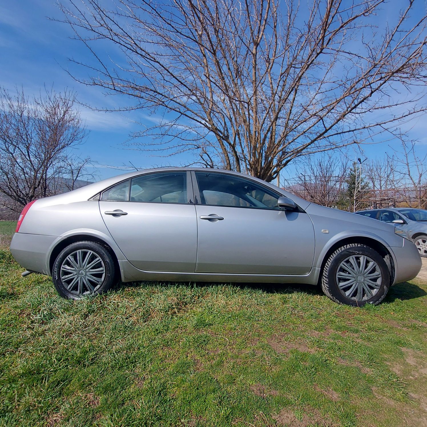 Нисан Примера п12 nissan primera p12