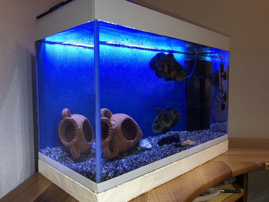 Продам комплект аквариум