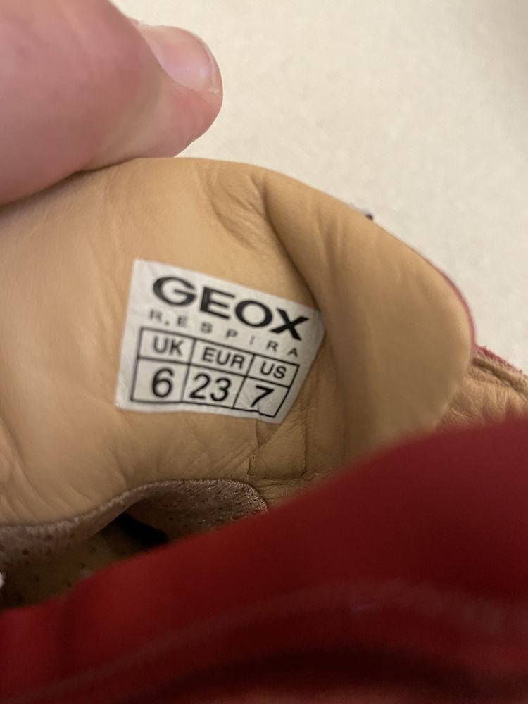 Sneakers Geox nr.23