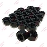 Prezoane Piulite Negre Toyota Ford Honda Mazda Kia Hyundai Jaguar Opel