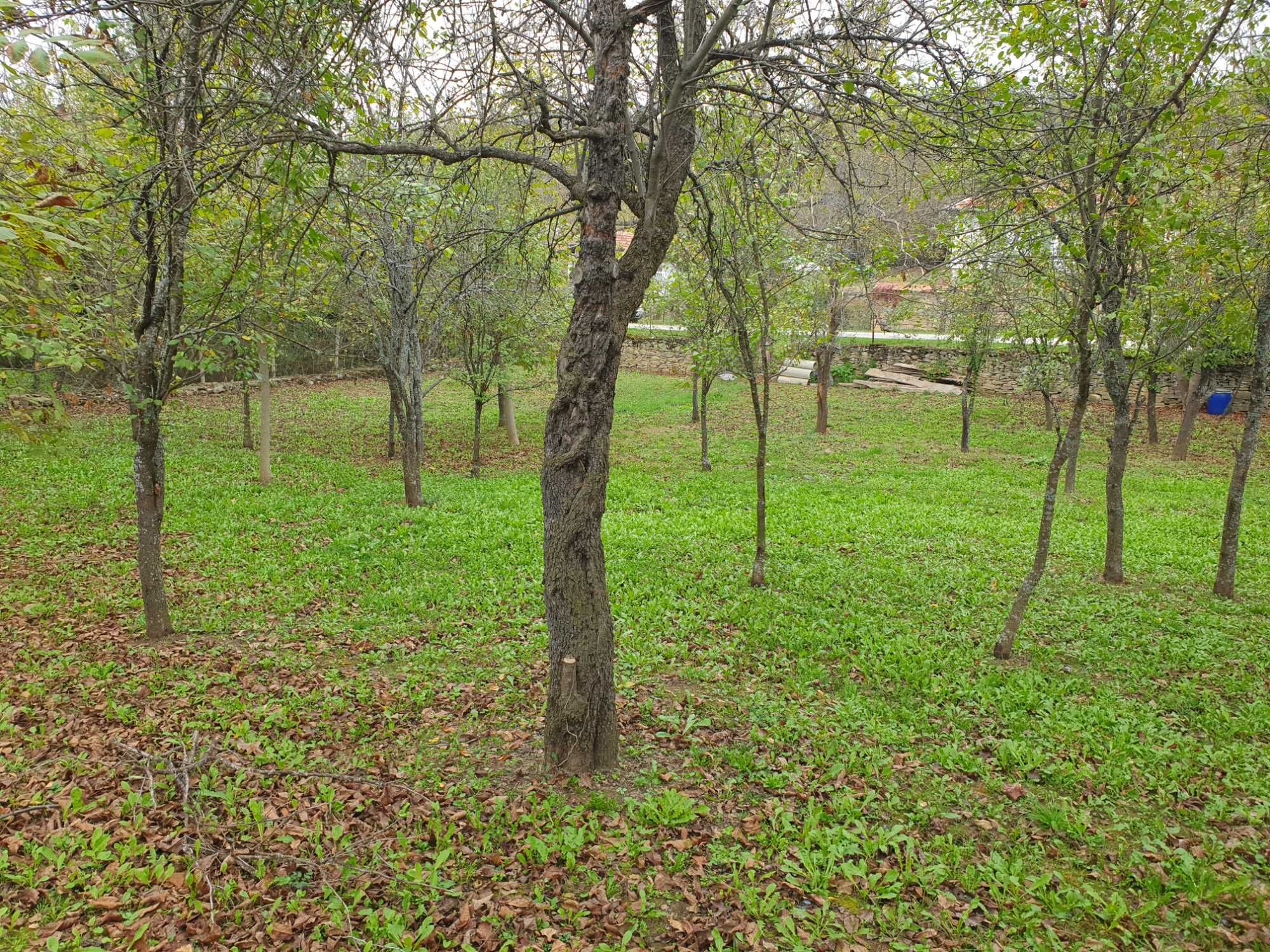 Къща в село Косарка