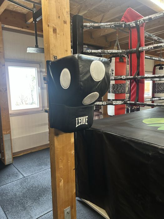 Vand perne perete box