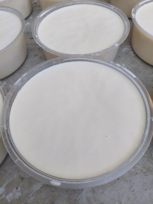 Eritilgan toza mol yog 32000 ming