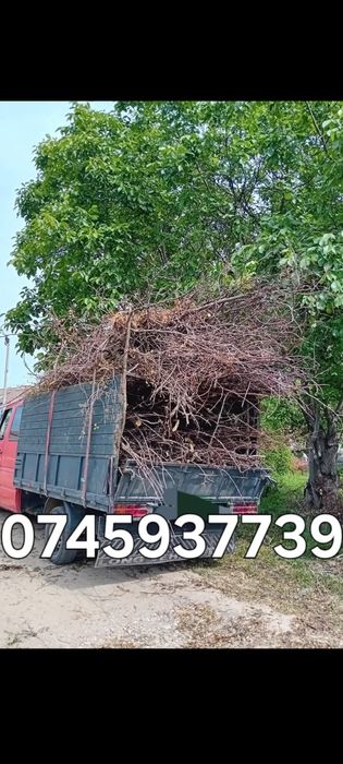 Ridic debarasez deșeuri SI moloz