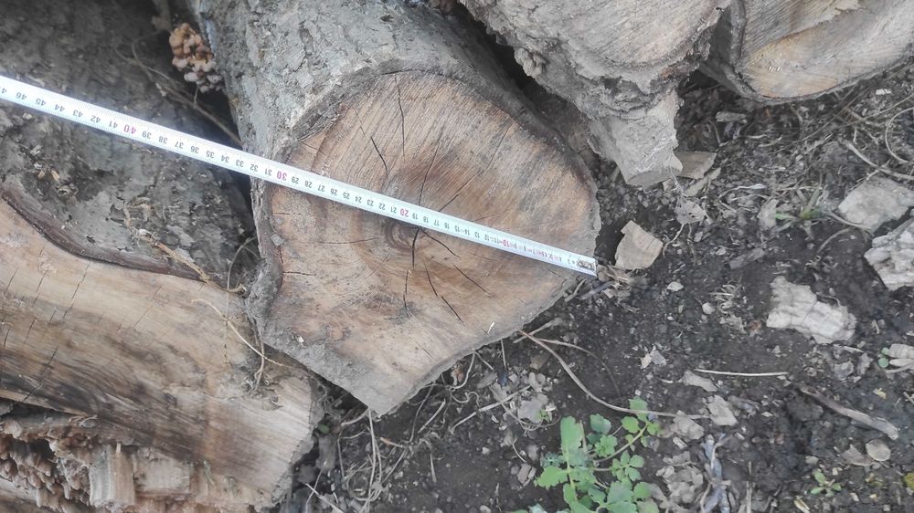 Lemn de nuc material mobilă